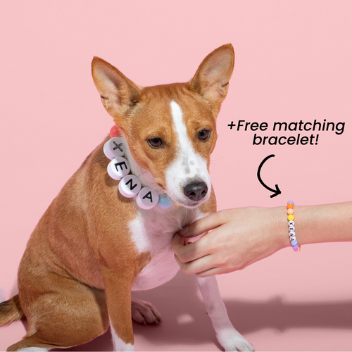 Dog Collar & Matching Bracelet